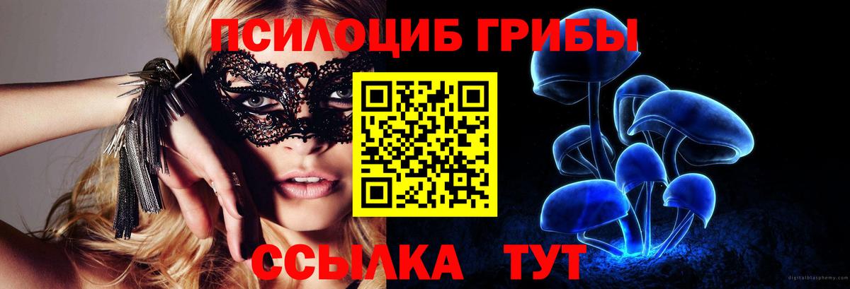 Галлюциногенные грибы мицелий  Вход с VPN  цены   Петрозаводск 